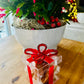 Salted Honey Caramels Gift Box